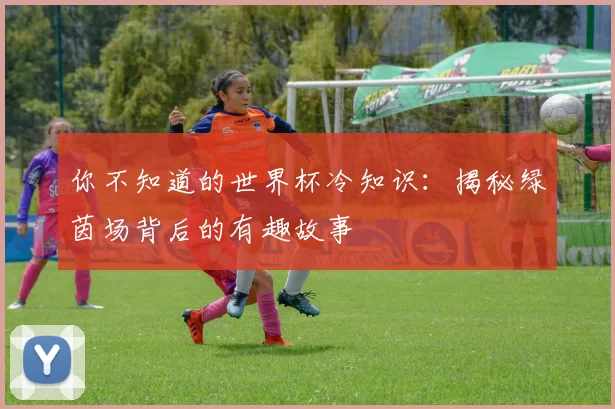 你不知道的世界杯冷知识:揭秘绿茵场背后的有趣故事