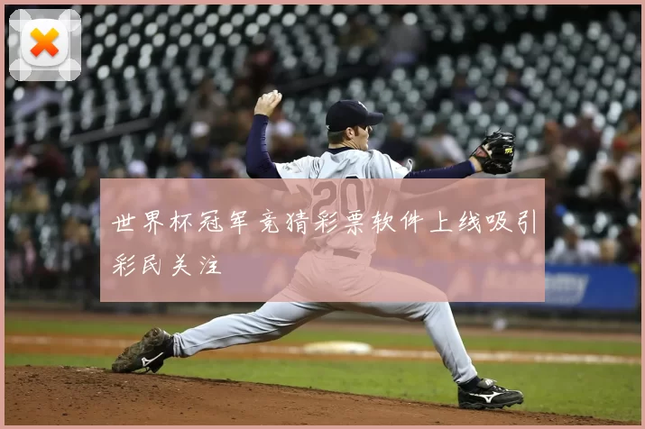 世界杯冠军竞猜彩票软件上线吸引彩民关注