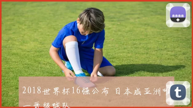 2018世界杯16强公布 日本成亚洲唯一晋级球队