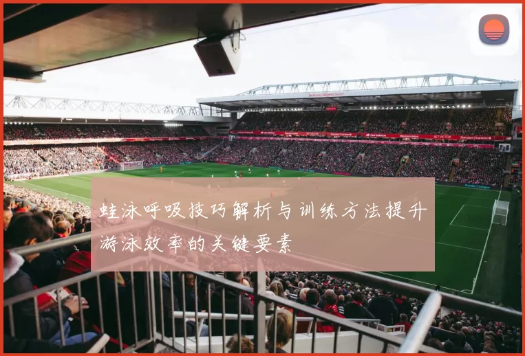 蛙泳呼吸技巧解析与训练方法提升游泳效率的关键要素