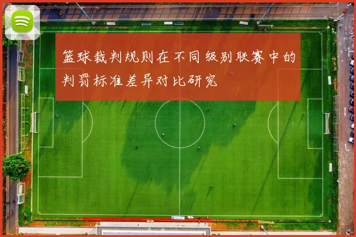 篮球裁判规则在不同级别联赛中的判罚标准差异对比研究