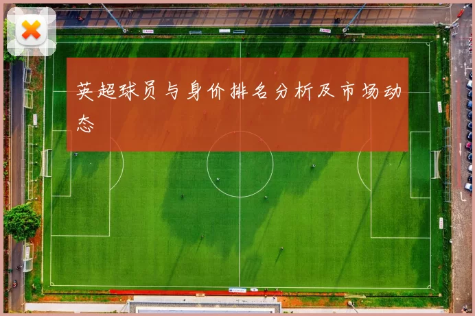 英超球员与身价排名分析及市场动态