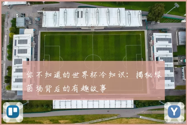 你不知道的世界杯冷知识:揭秘绿茵场背后的有趣故事