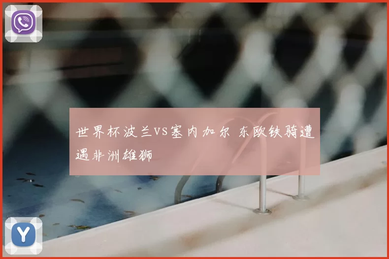 世界杯波兰vs塞内加尔 东欧铁骑遭遇非洲雄狮