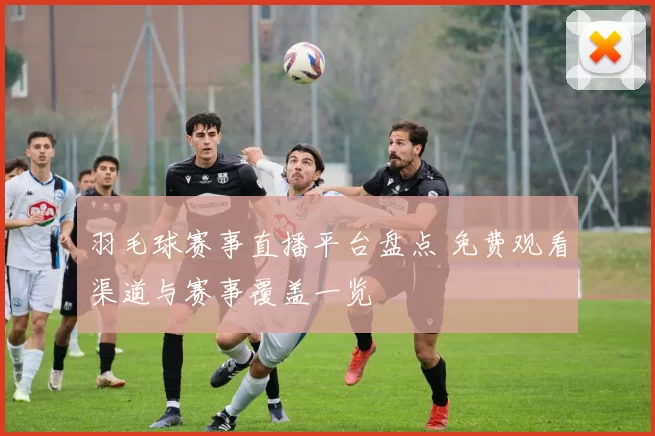 羽毛球赛事直播平台盘点 免费观看渠道与赛事覆盖一览