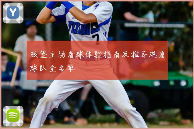 狼堡主场看球体验指南及推荐观看球队全名单