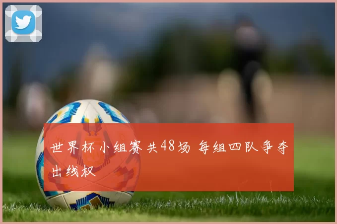世界杯小组赛共48场 每组四队争夺出线权