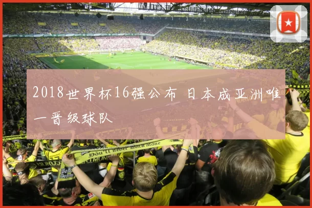 2018世界杯16强公布 日本成亚洲唯一晋级球队