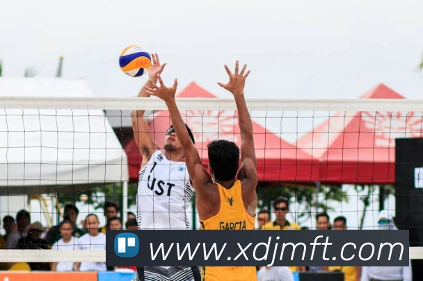 乐鱼体育发展历程